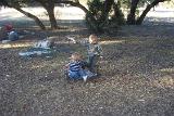 Picture 0706