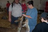 Picture 0746
