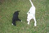 Picture 0754