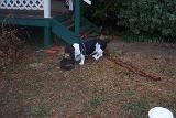 Picture 0760
