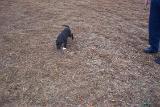 Picture 0764