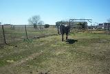 Picture 0790