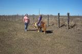 Picture 0795