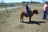 Picture 0796