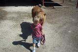 Picture 0800