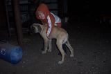 Picture 0875