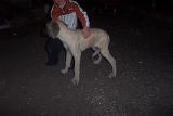 Picture 0876