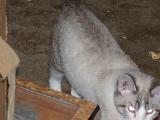 DSCN0156