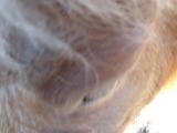 DSCN0227