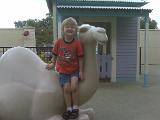 IMG00097