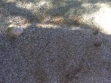IMG00143
