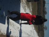 DSCN3245