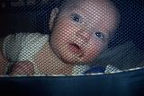 PictureE 0882 - Conflict 1