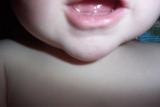 PictureE 0981