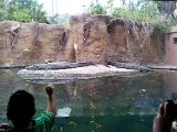 IMG 20120316 101111