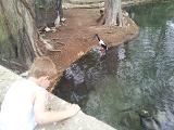 IMG 20120316 102210