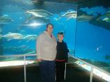 CameraZOOM-20130103112334245
