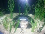 CameraZOOM-20130103112918030
