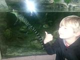 CameraZOOM-20130103113055079