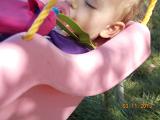 DSCN0338