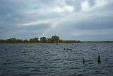 Picture 0024