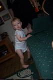 Picture 0445
