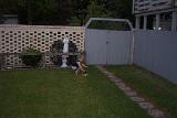 Picture 0695