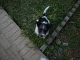 dscn0242