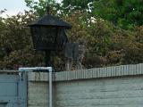 dscn0244