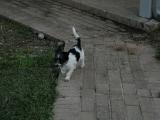 dscn0245