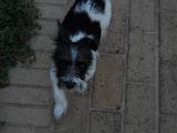dscn0246
