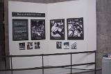 PictureE 0784