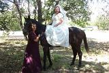 Picture 0377