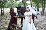 Picture 0382