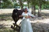Picture 0384