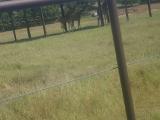 20200803 115831